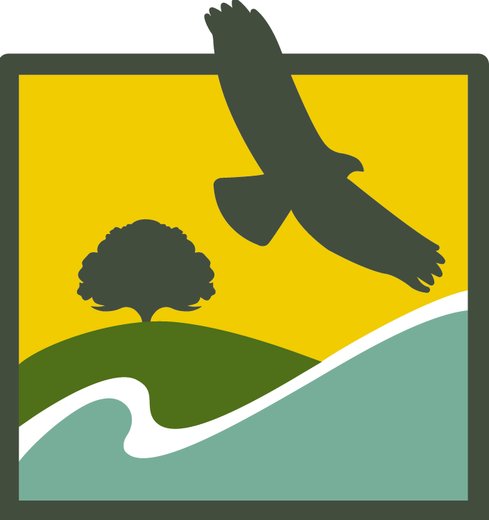 Banner logo with link to homepage